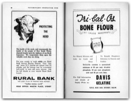 1958 Page 84